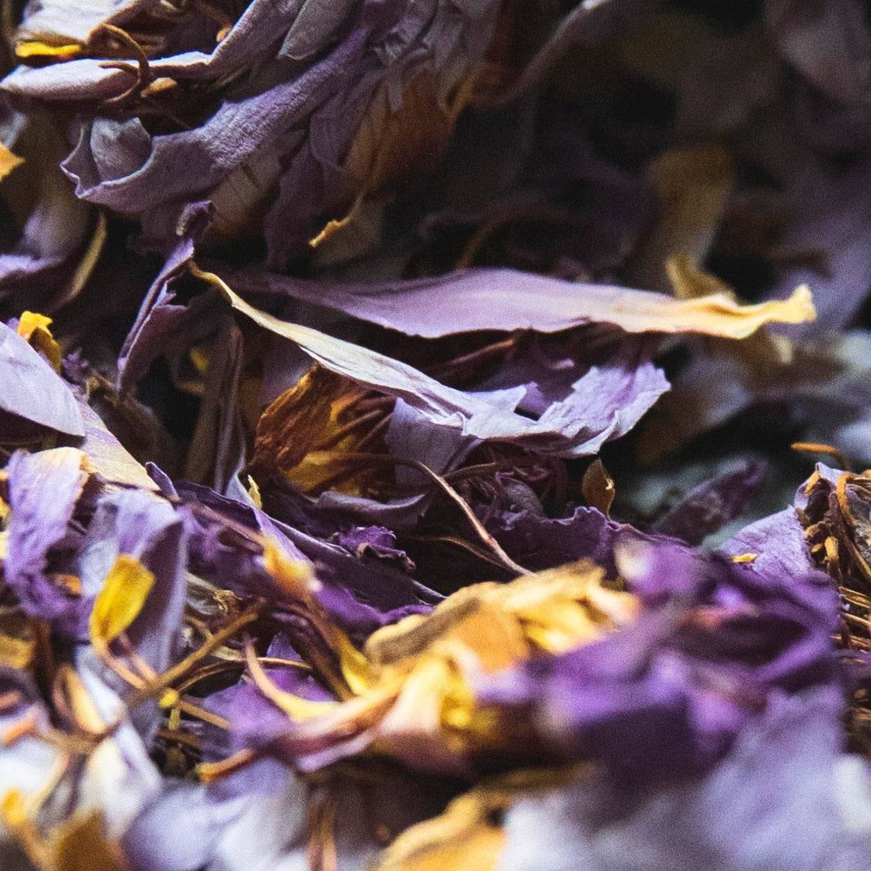Blue Lotus Tea